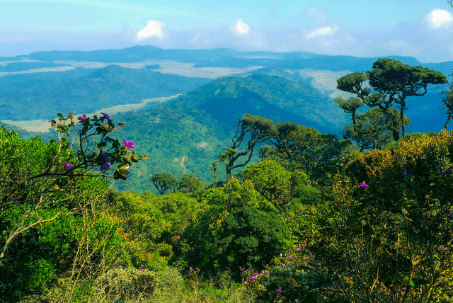 Nuwara Eliya to Ella Train Ride