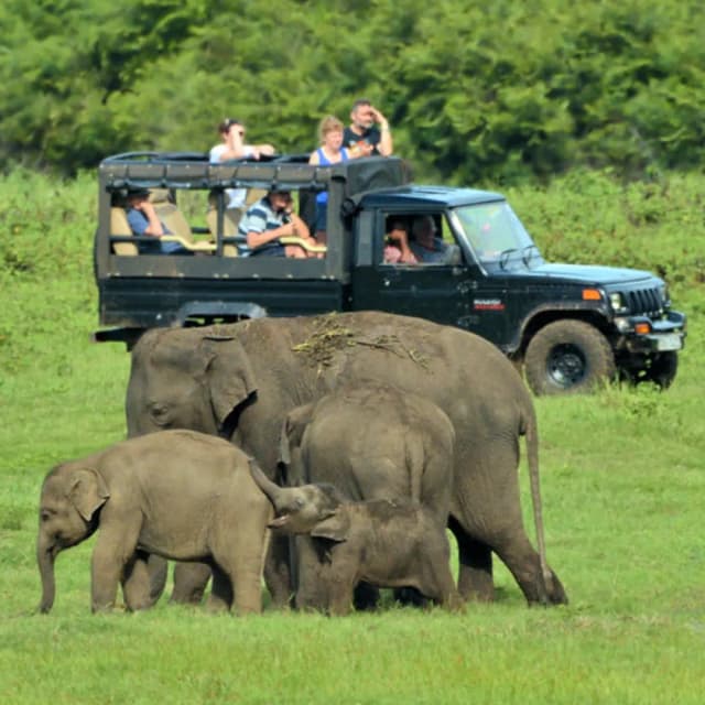 Wilpattu to Sigiriya