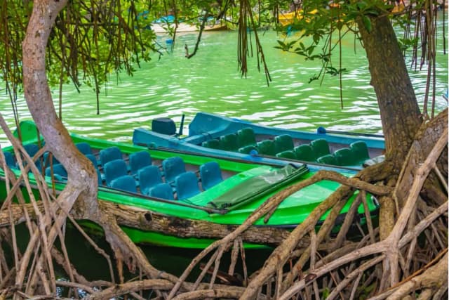 Galle & Madu River Safari