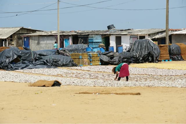 Arrival & Negombo Romance