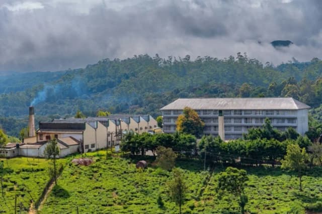 Kandy to Nuwara Eliya