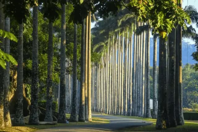 Romantic Day in Kandy