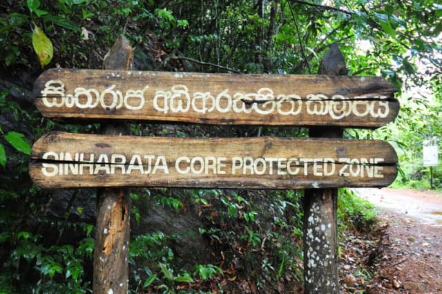 Yala to Sinharaja
