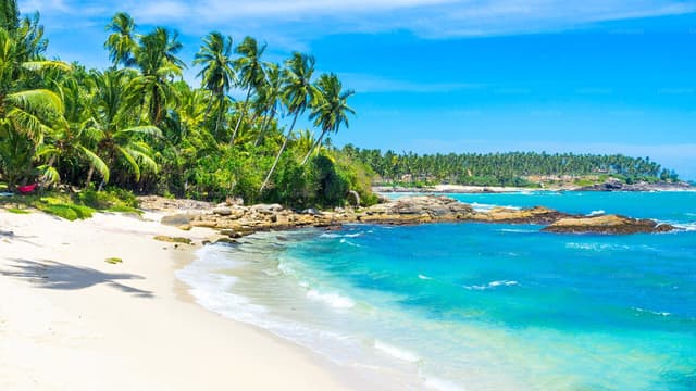 Airport to Wilpaththu