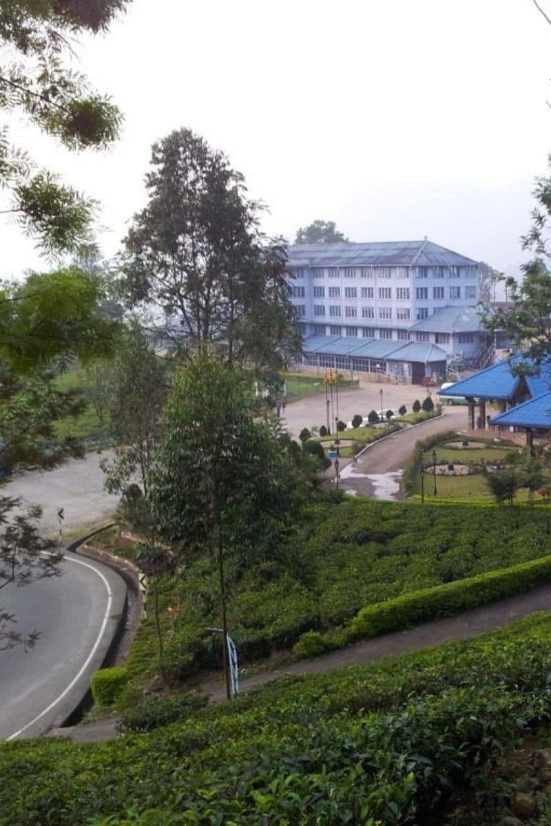 Nuwara Eliya Tea Country Tour