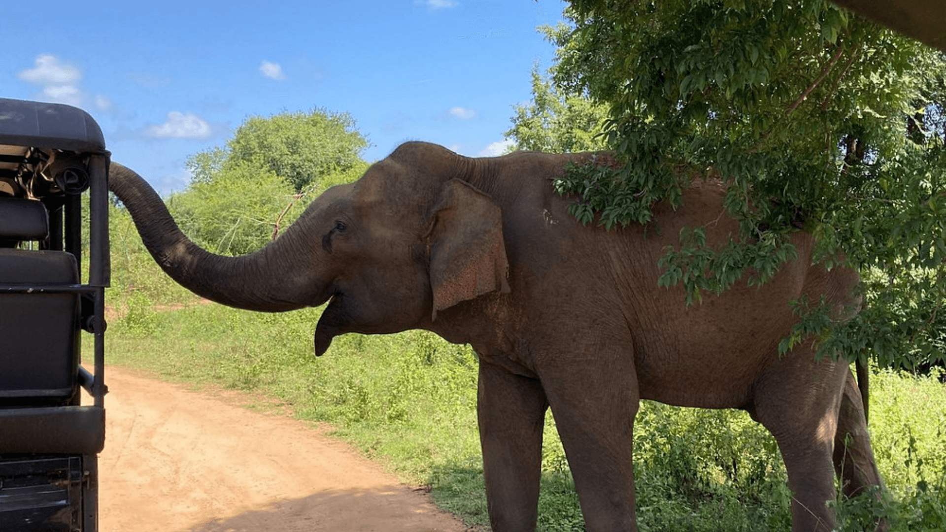 Adventure & Nature Escape - Sri Lanka Tour Package